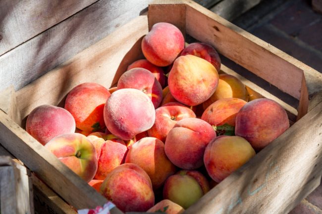 Georgia Peach Truck