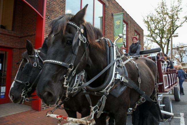 Frederick carriage ride